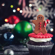 Gingerbread man and cupcake