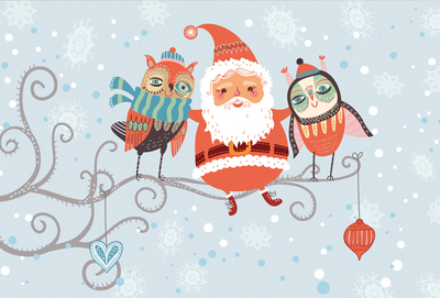 Santa Claus and owls
