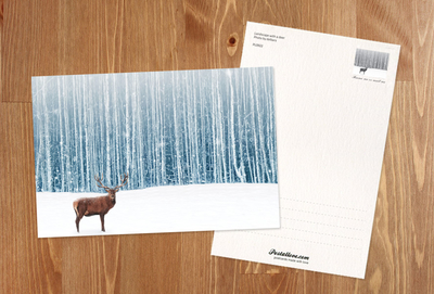Landscape with a deer