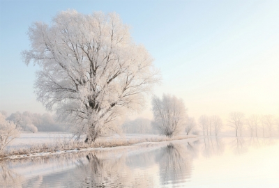 Winter landscape