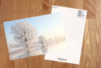 Winter landscape