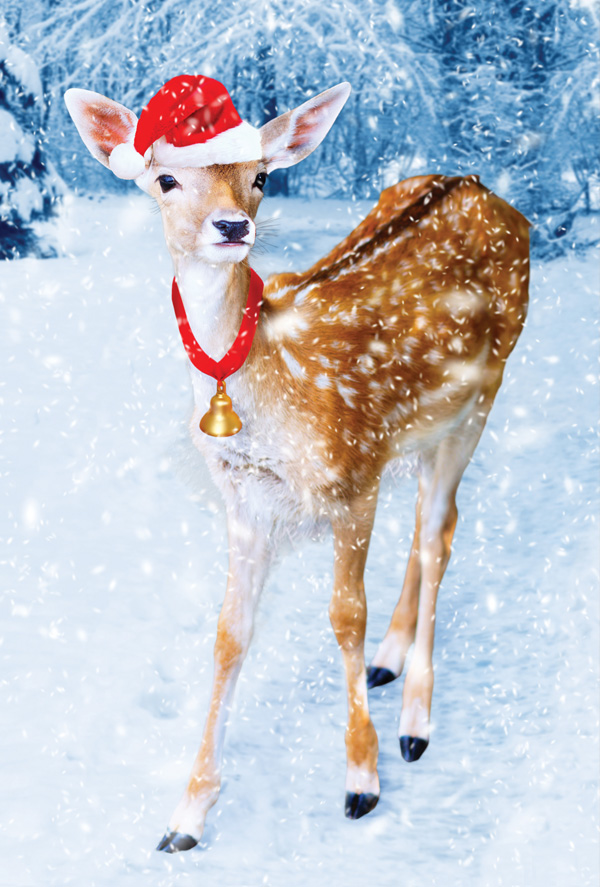 Christmas deer / Winter holidays / Postcards / Postallove - postcards