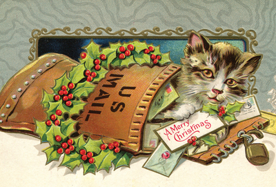 Christmas cat