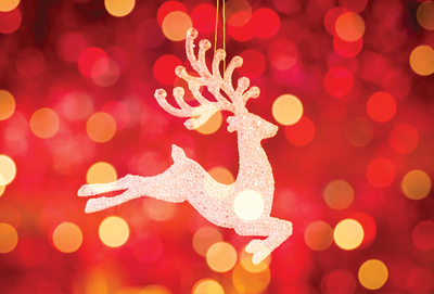 Shining reindeer