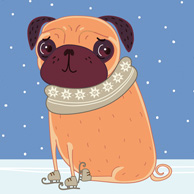 Winter mops