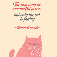 Kitten's quotes - The dog may be wonderful prose, but only the cat is poetry