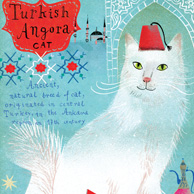 Turkish Angora cat 