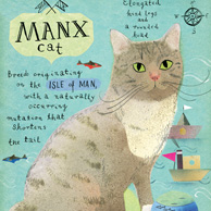 Manx cat
