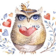Owl with the heart