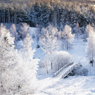 Poland - Love to be here... - Masuria in winter