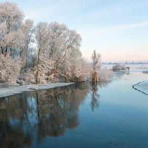 Poland - Love to be here... - Narew river in winter