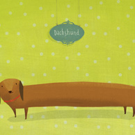 Joanna Rusinek - Dachshund 