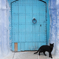 Blue door & black cat