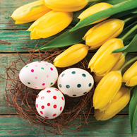 Easter eggs and yellow tulips