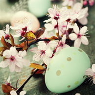 Easter apple blossoms