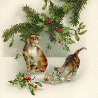 Cats and Christmas ornaments